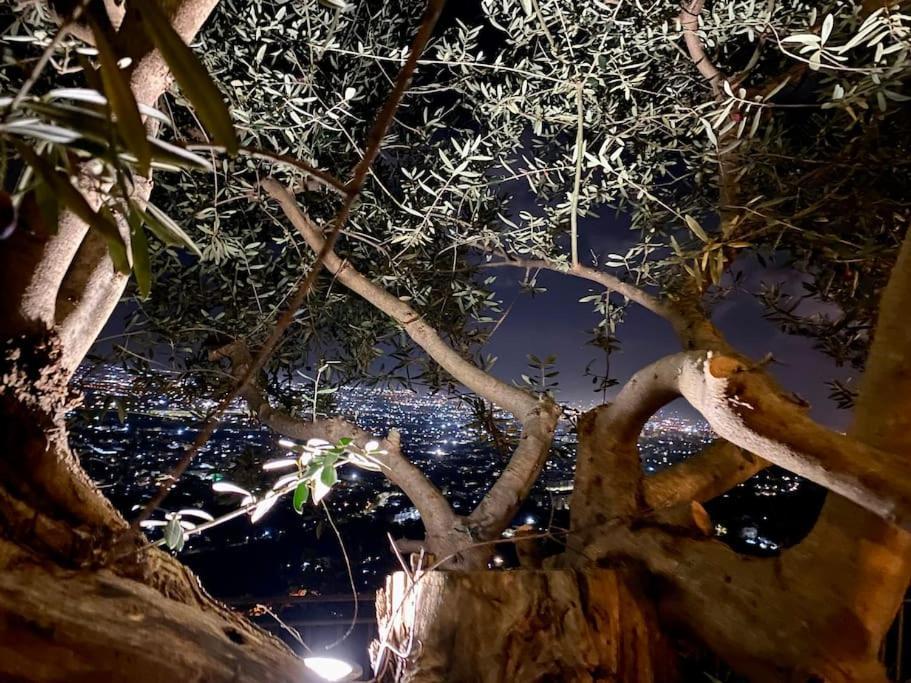 Casale Di Lusso Panoramico Villa Lettere Eksteriør bilde
